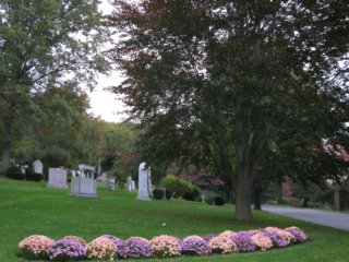 fall