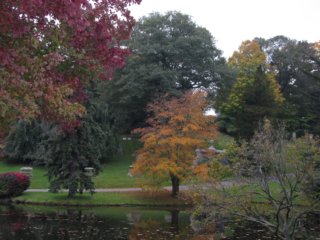 fall