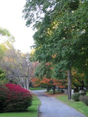 fall