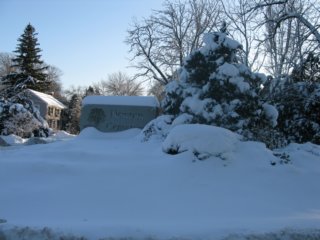 winter