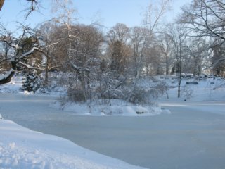 winter