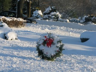 winter