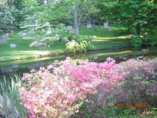 spring
